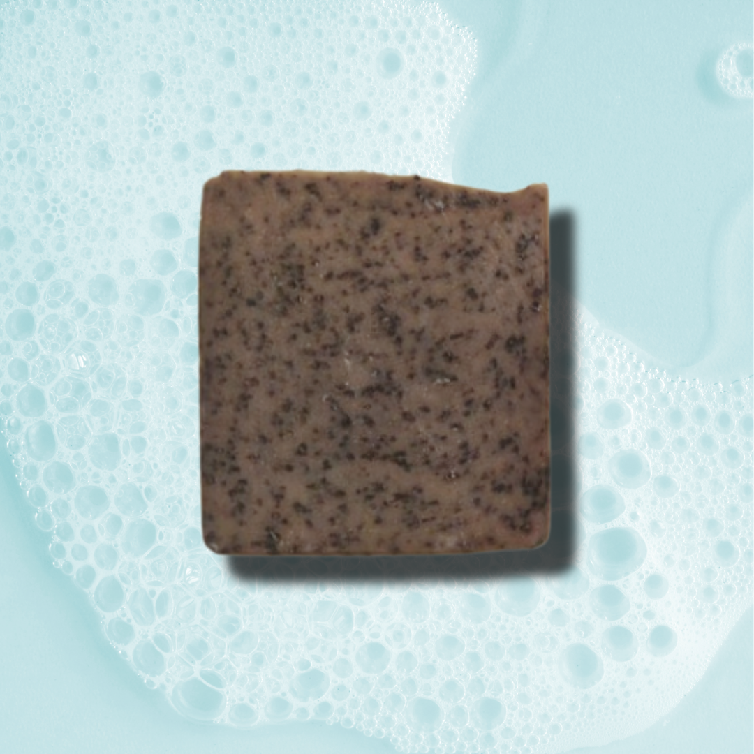 COLD BREW BLACK Tallow + Coffee + Black Cumin Soap