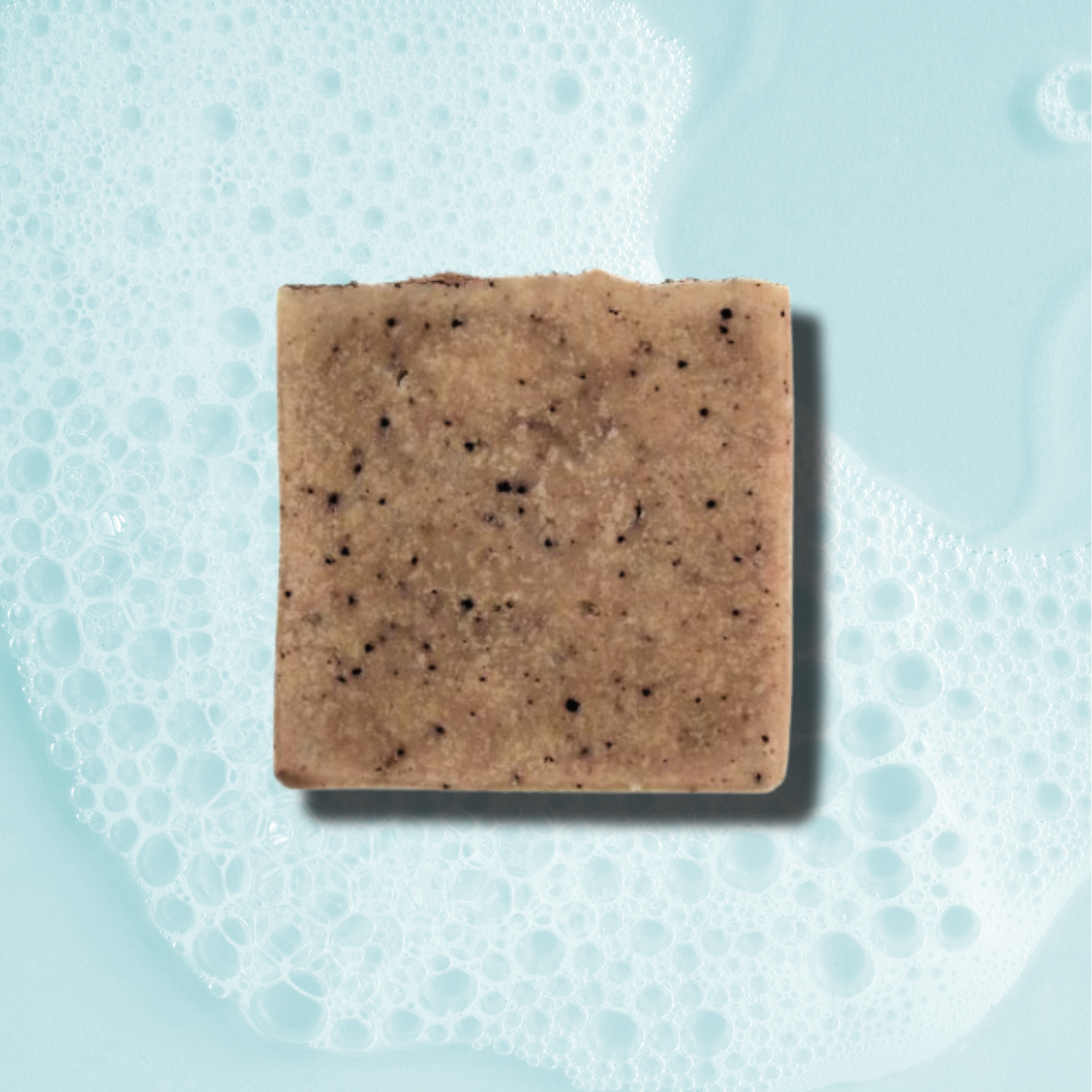 GINGERSNAP Tallow + Ginger + Molasses + Spice Soap