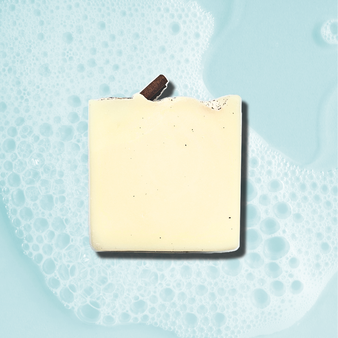CITRUS, SPICE + EVERYTHING NICE Tallow + Citrus + Cinnamon Soap